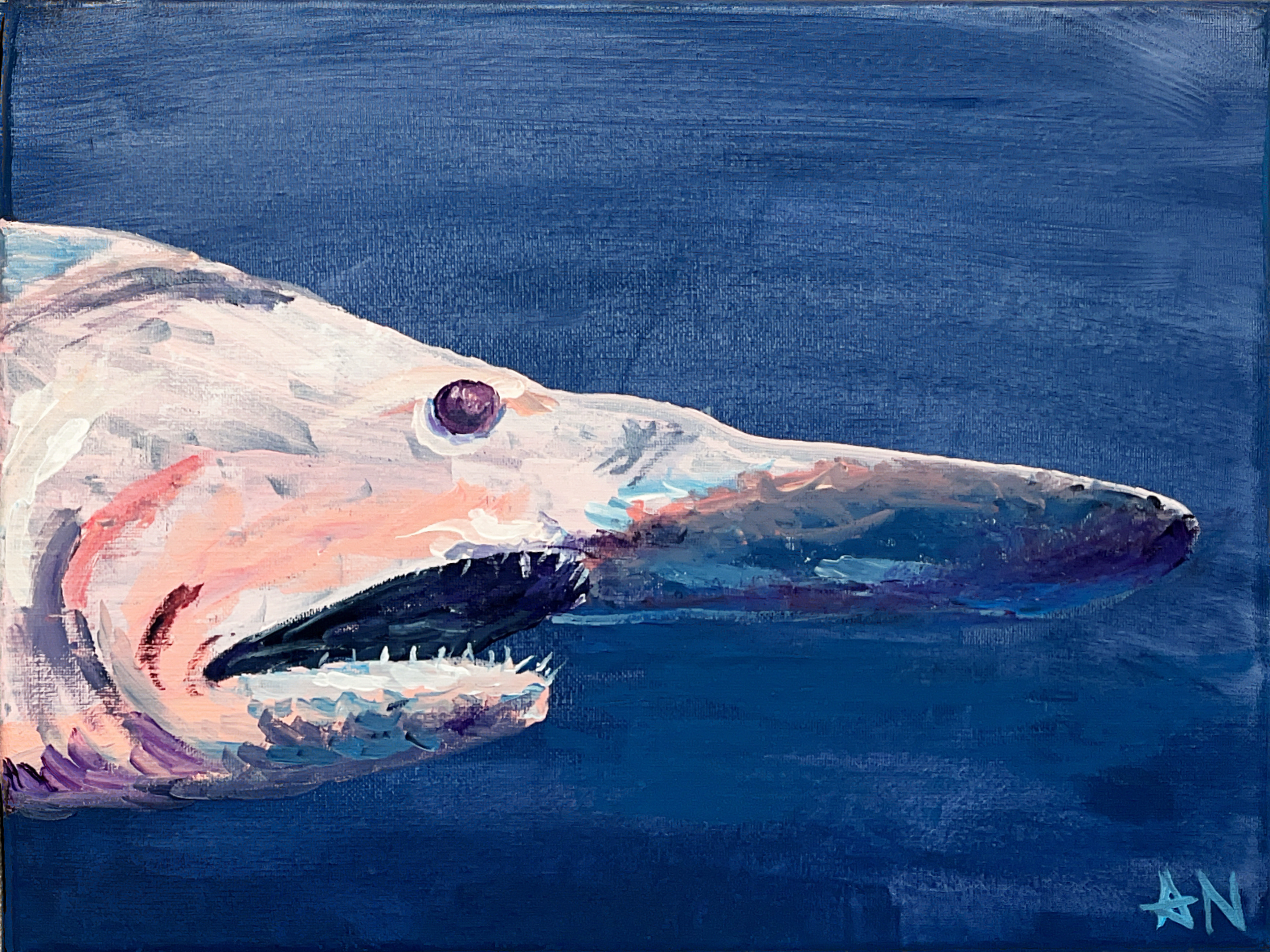 Goblin Shark