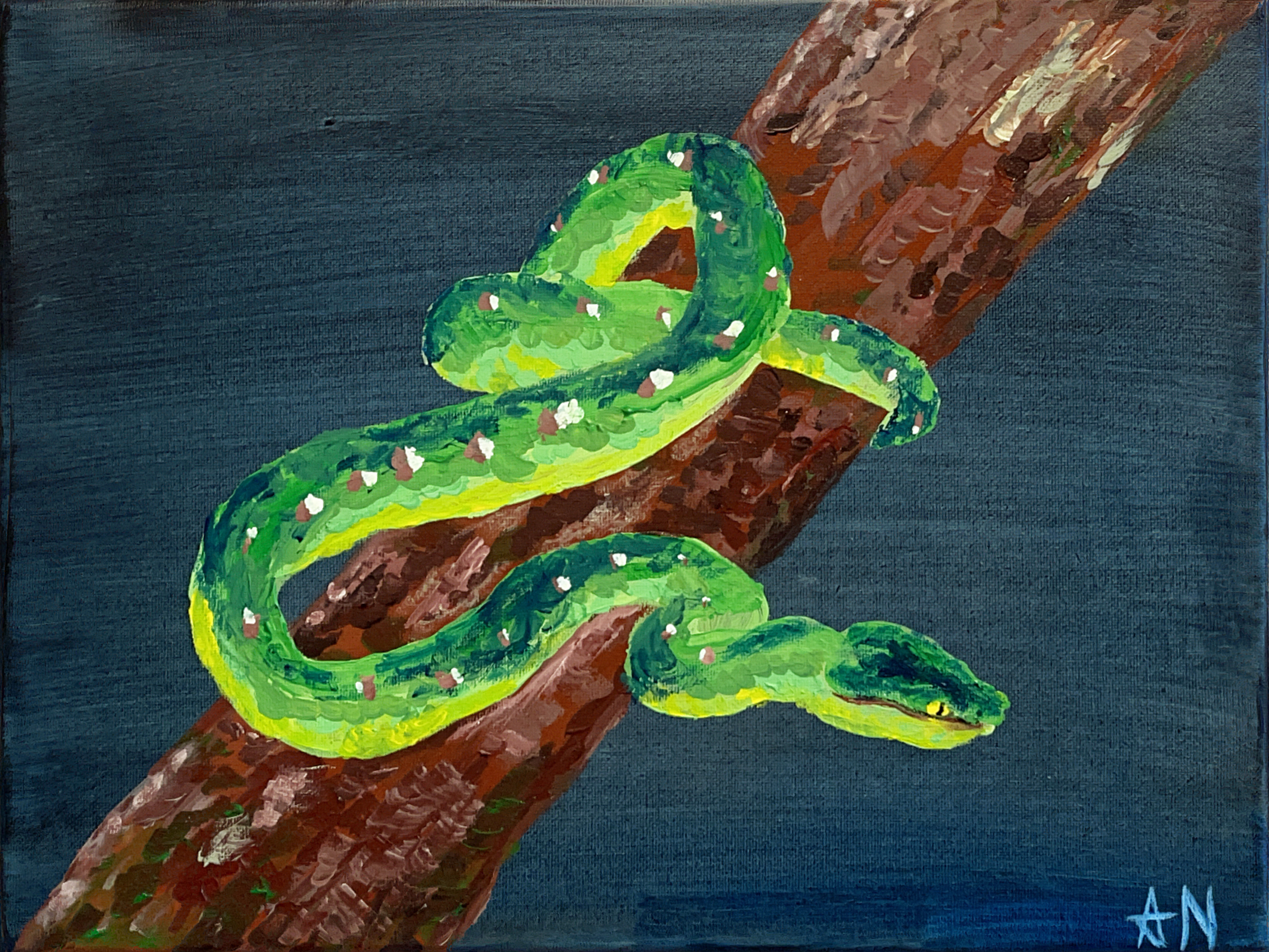 Green Tree Python