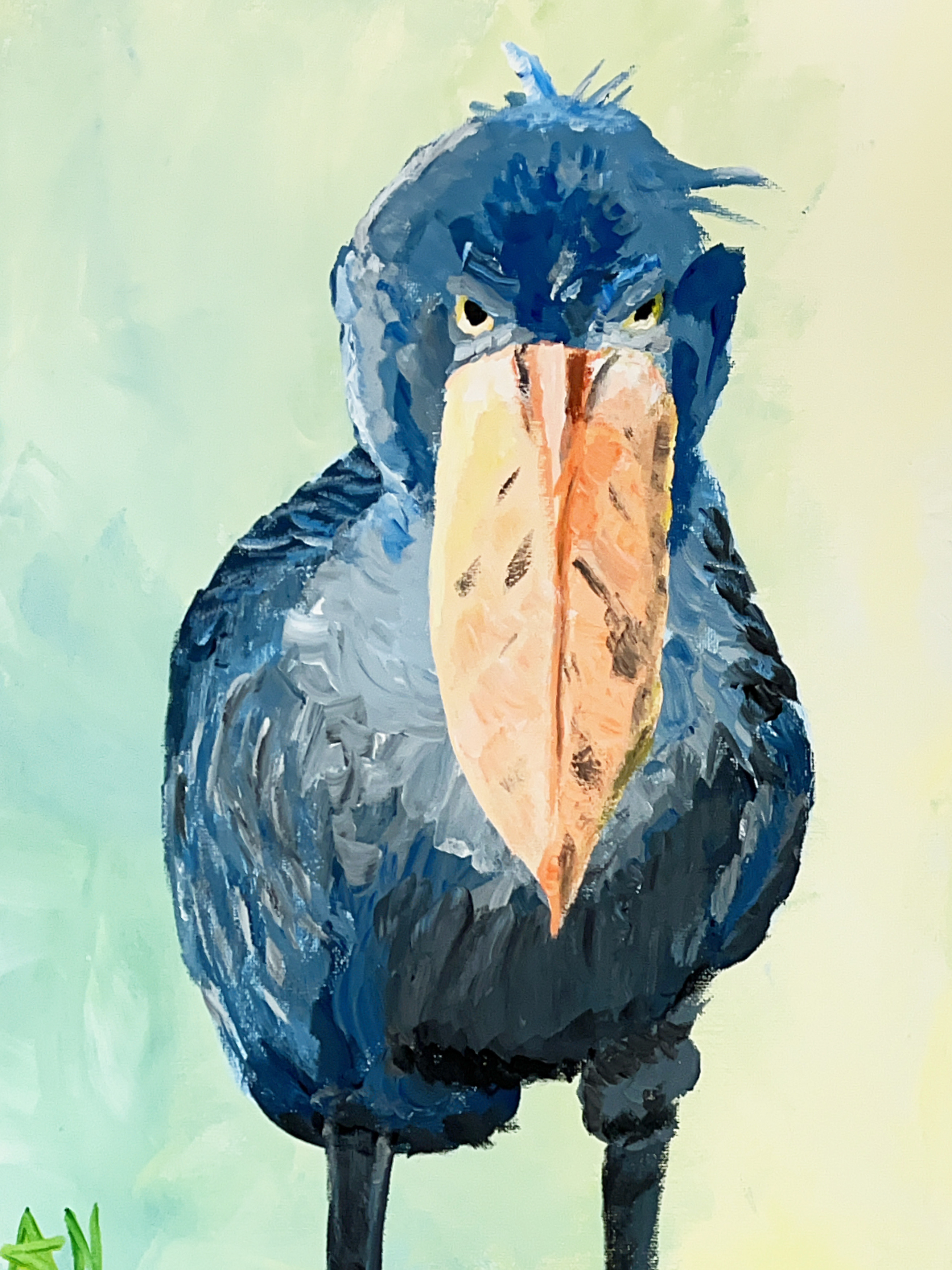 Shoebill Stork
