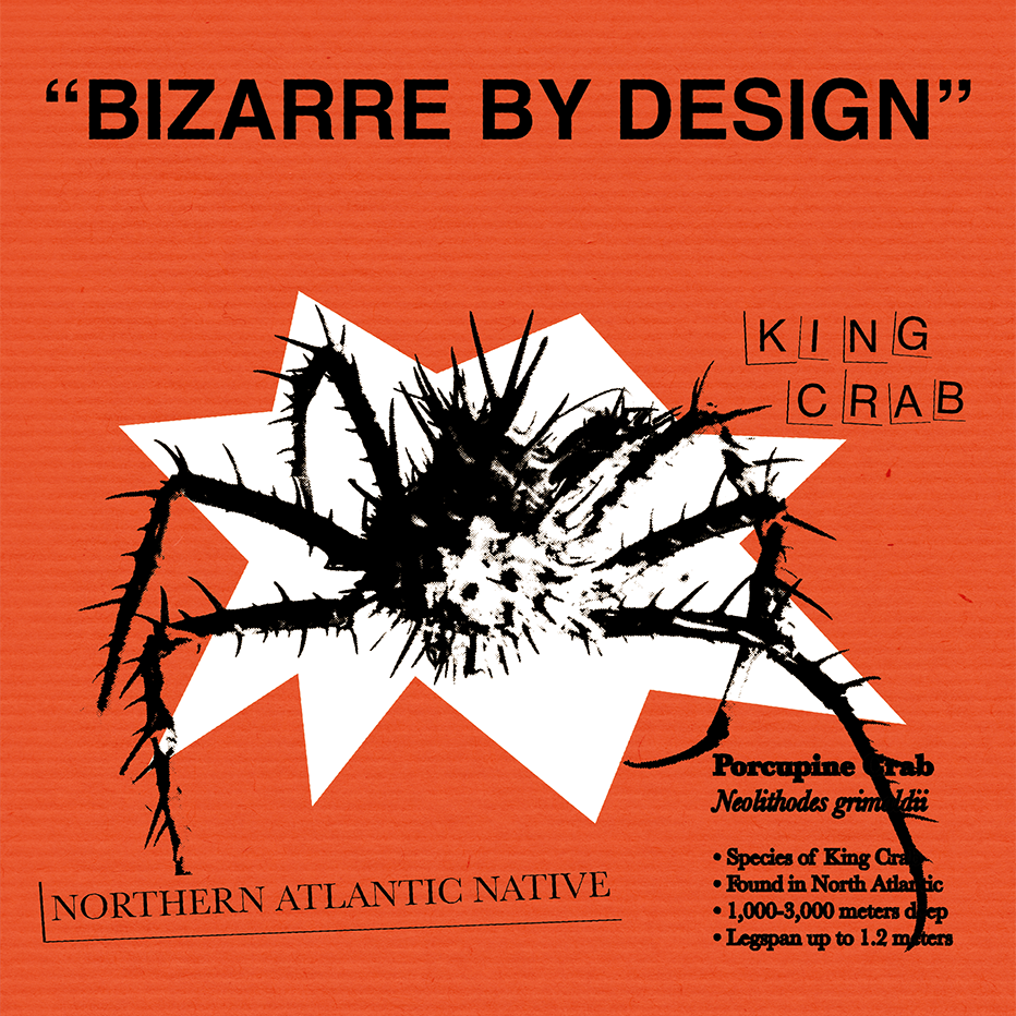 Bizarre By Design