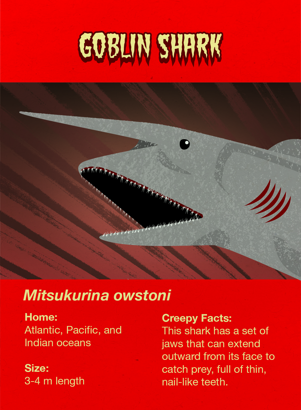 Goblin Shark