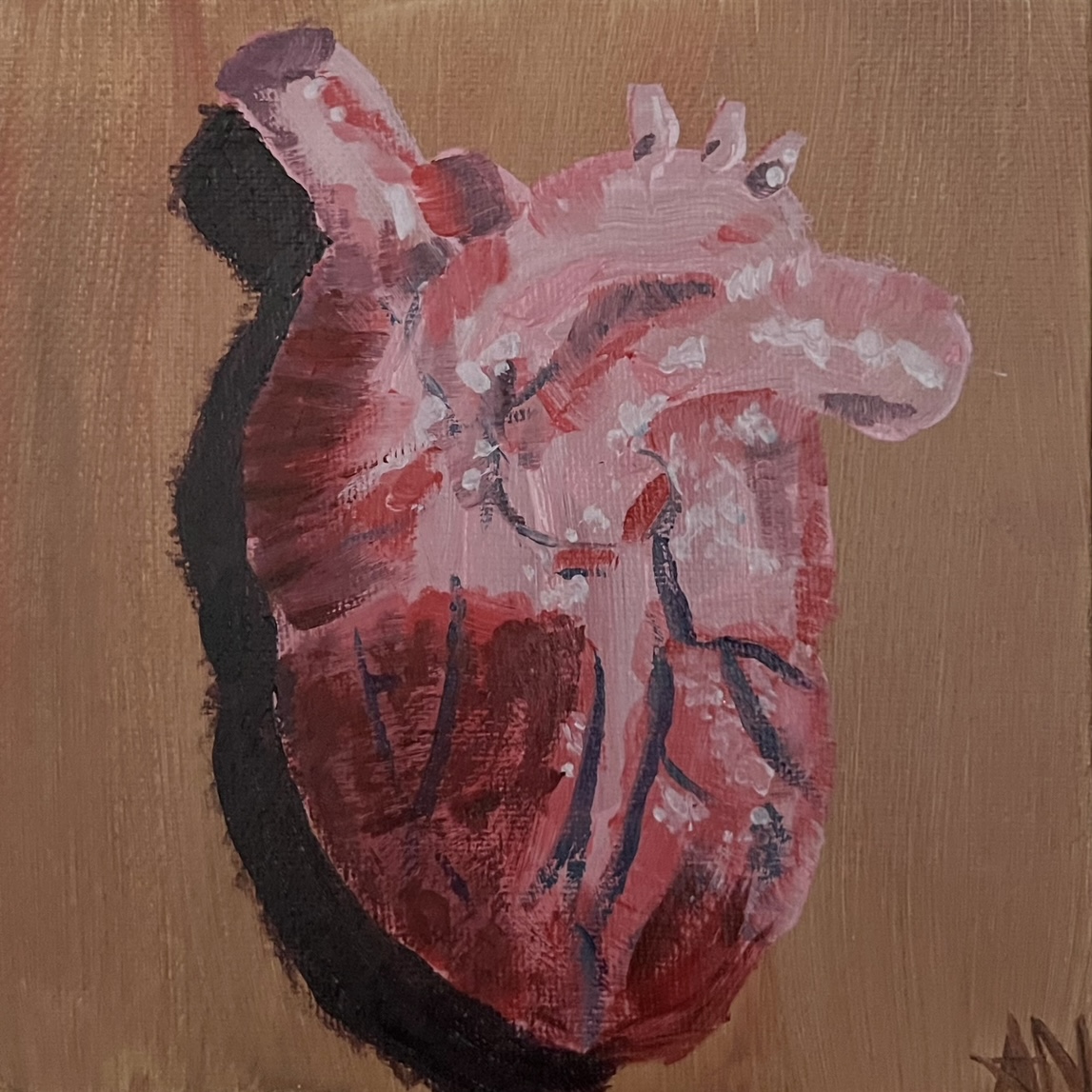The Human Heart
